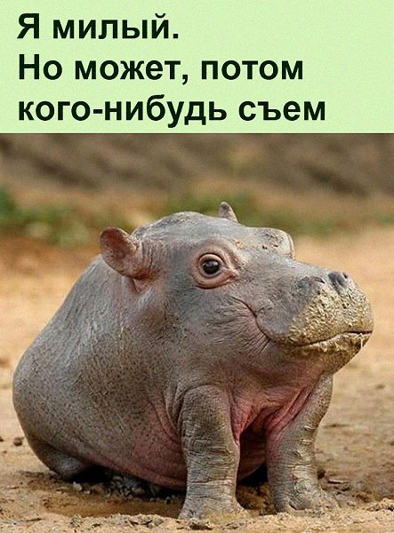   .