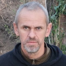 ������, ������, 41 ���