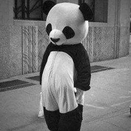 ���� �����, ������, 27 ��� - ��������� 8 ����� 2023