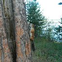 ���� ��������, ������, 58 ��� - ��������� 25 ������� 2023