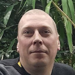 ������, ������, 40 ���