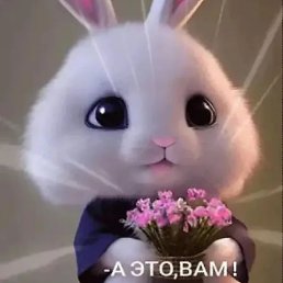 �������, �����, 40 ���