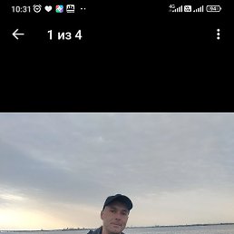 �������, ������, 36 ���