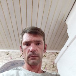 �����, ������, 40 ���