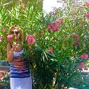 ���� ��������, �������� - ��������� 13 ���� 2023 � ������ ���� ����������