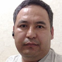 ������, ������, 41 ���