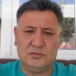 �����, ������, 49 ���