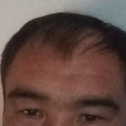 ������ �����, ������, 37 ���