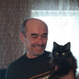 �������, ����, 65 ���