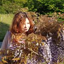 ���� ��������, ������, 34 ���� - ��������� 21 �������� 2023 � ������ ���� ����������