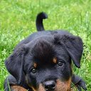 ���� �����, ���������, 57 ��� - ��������� 29 ���� 2023