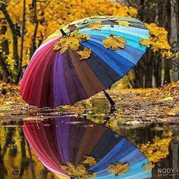 Ebrahim, �����������, 36 ���