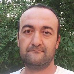 ������, �������, 37 ���