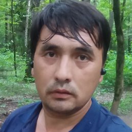 �����, ������, 38 ���