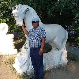 ������, ������, 48 ���