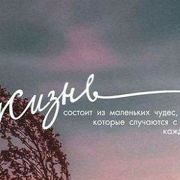 ������, �����������, 29 ���