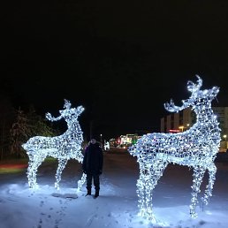 ���� ����, ���������, 55 ��� - ��������� 7 ������ 2023