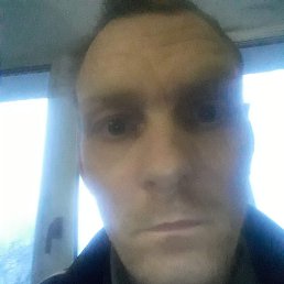 ���� ����, �����, 44 ���� - ��������� 8 ��� 2023