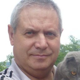 �����, ������, 54 ����