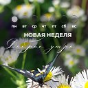 ���� ����, �����������, 48 ��� - ��������� 22 ��� 2023 � ������ ������ ��������