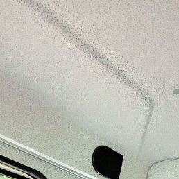 ���� ����, �������, 54 ���� - ��������� 8 ������� 2023