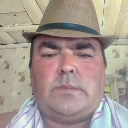 �����, ������, 40 ���