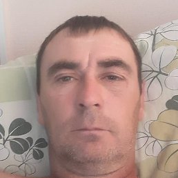 �������, ���������, 41 ���