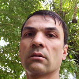 ������, ������, 41 ���