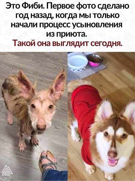 Хочется пожелать подобной поддержки каждому живому существу, оказавшемуся в трудной жизненной ...