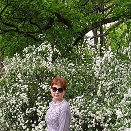 �������, �������, 61 ���