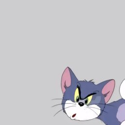 ���� ����, �������, 25 ��� - ��������� 12 ������� 2023