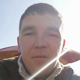 ������, �������, 38 ���