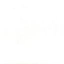 ���� ��������, ������, 41 ��� - ��������� 15 �������� 2023 � ������ ���� ����������