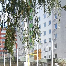 ��������, ������, 61 ���