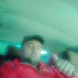 ������, �������, 37 ���