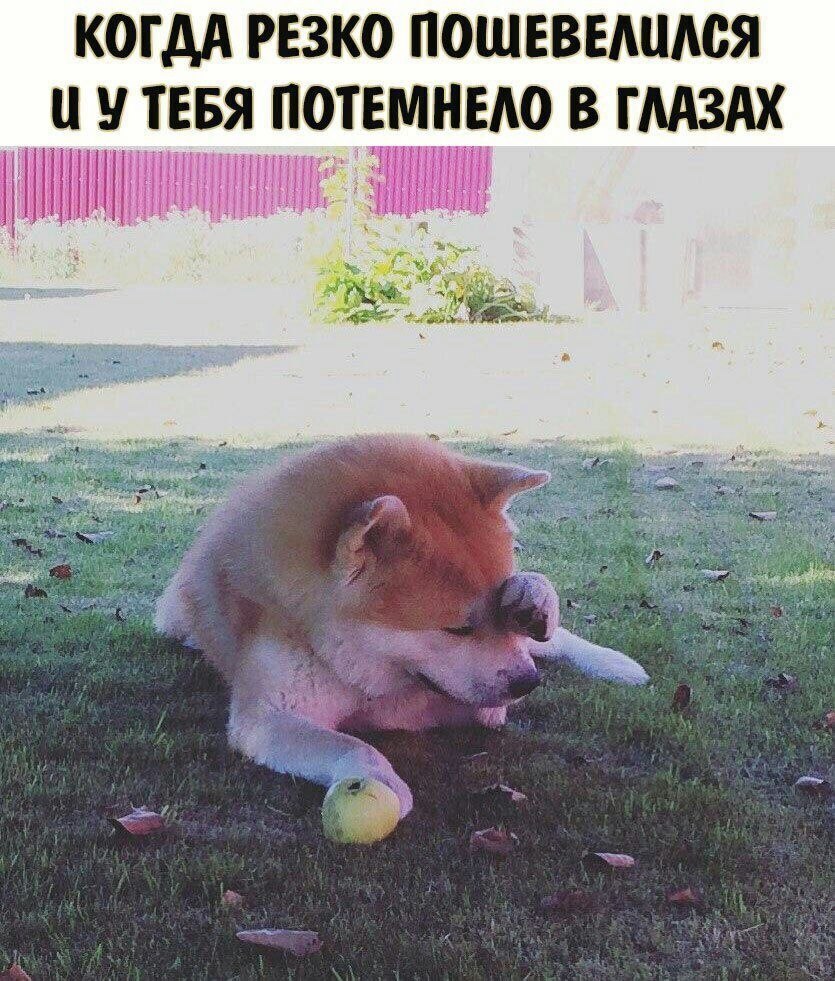    - 1  2023  00:19