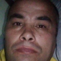 ����, ������, 40 ���