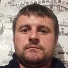 ������, �����, 37 ���