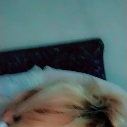 �������, ���������, 40 ���