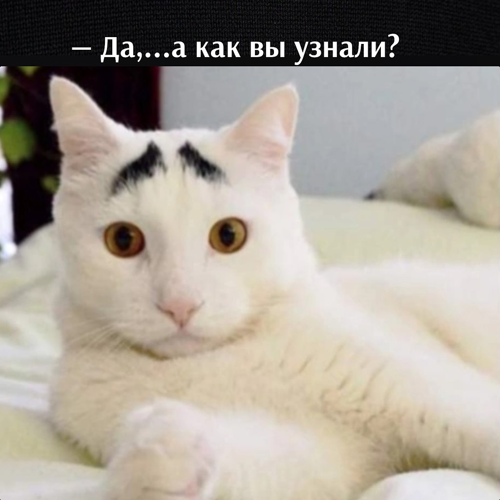  : - 2