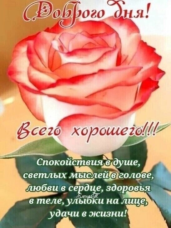   ,    . - 24  2023  13:10