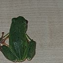 ���� ����, ���������� - ��������� 27 ���� 2023 � ������ ���� ����������