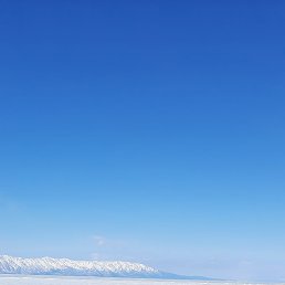 ���� �������, ����-���, 56 ��� - ��������� 5 ������ 2023