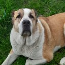 ���� �������, ������, 45 ��� - ��������� 3 �������� 2023