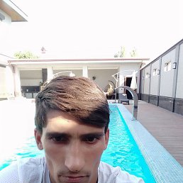 Dog New York, ������, 37 ���