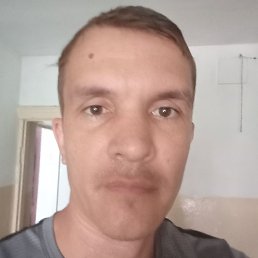 �������, �����, 39 ���