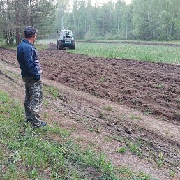 ������, ������ ��������, 52 ����