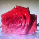 ���� �������, �������, 61 ��� - ��������� 24 ������� 2023 � ������ ���� ����������