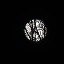 ���� Galina, �����, 48 ��� - ��������� 30 ������ 2023 � ������ ���� ����������