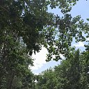 ���� Sipehr, �������, 36 ��� - ��������� 19 ���� 2023 � ������ ���� ����������